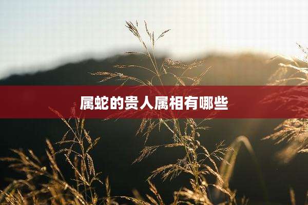 属蛇的贵人属相有哪些