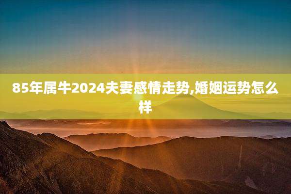 85年属牛2024夫妻感情走势,婚姻运势怎么样