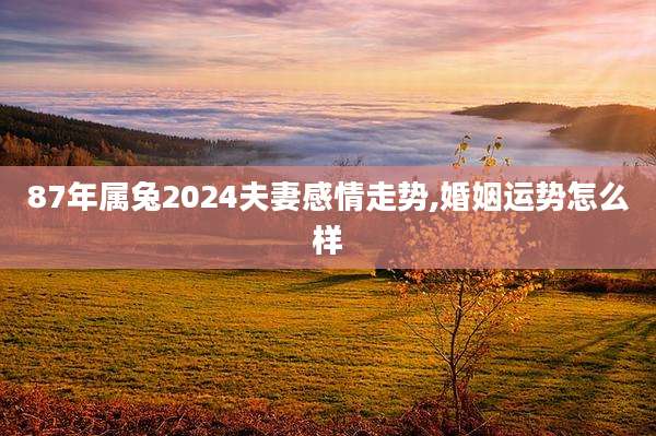 87年属兔2024夫妻感情走势,婚姻运势怎么样