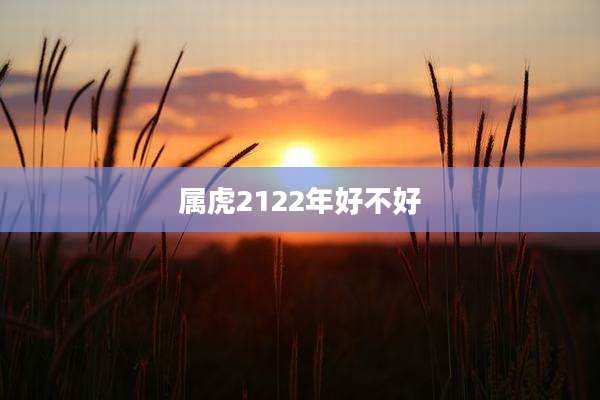 属虎2122年好不好