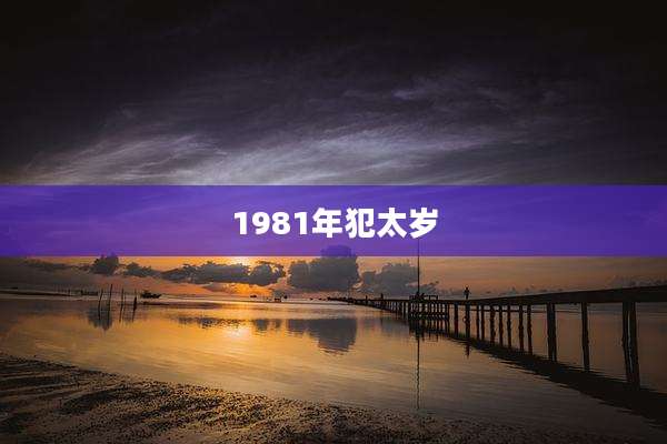 1981年犯太岁