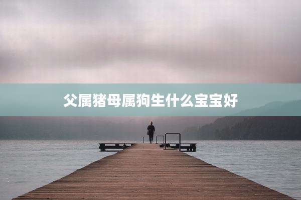 父属猪母属狗生什么宝宝好
