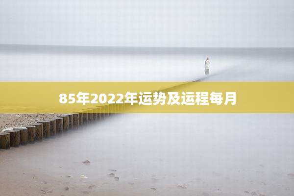85年2022年运势及运程每月