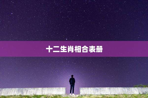 十二生肖相合表册