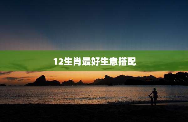 12生肖最好生意搭配
