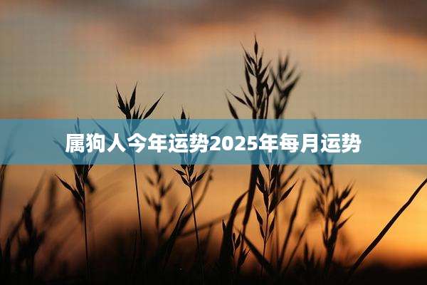 属狗人今年运势2025年每月运势
