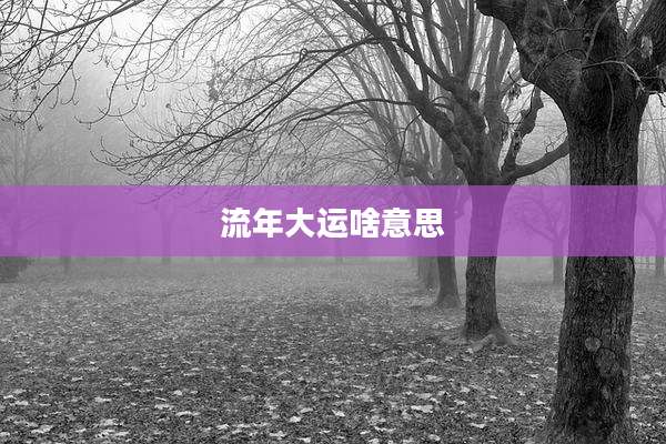 流年大运啥意思