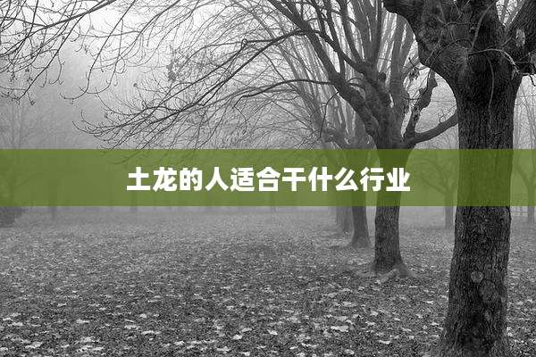 土龙的人适合干什么行业