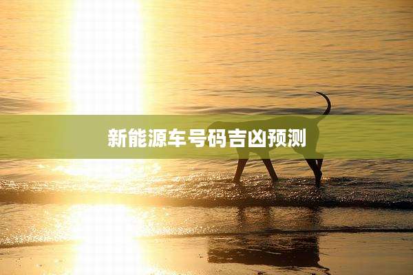 新能源车号码吉凶预测
