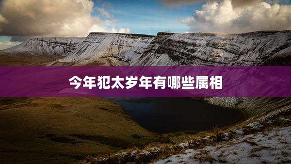 今年犯太岁年有哪些属相