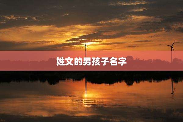 姓文的男孩子名字