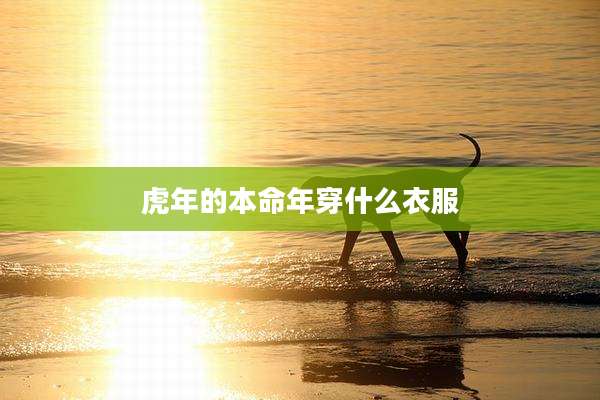 虎年的本命年穿什么衣服