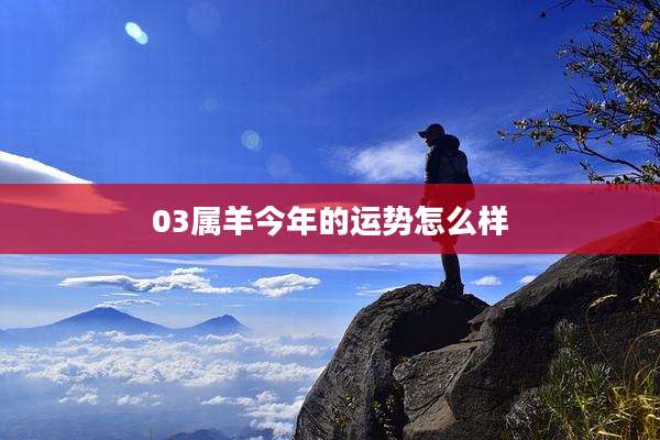 03属羊今年的运势怎么样
