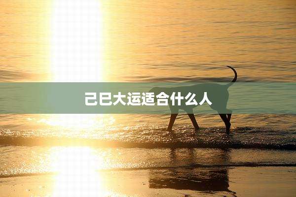 己巳大运适合什么人