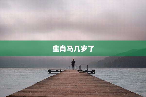 生肖马几岁了