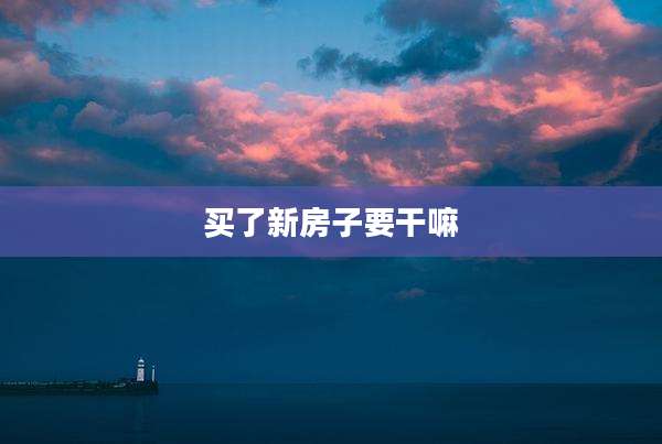 买了新房子要干嘛