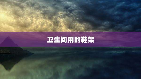 卫生间用的鞋架