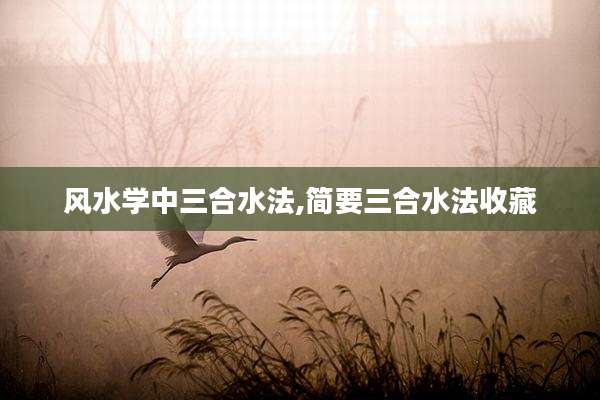 风水学中三合水法,简要三合水法收藏