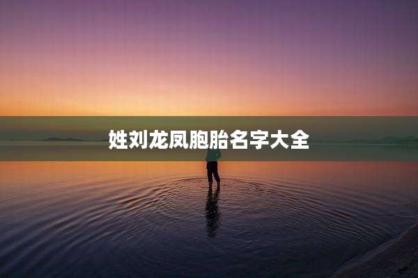 姓刘龙凤胞胎名字大全