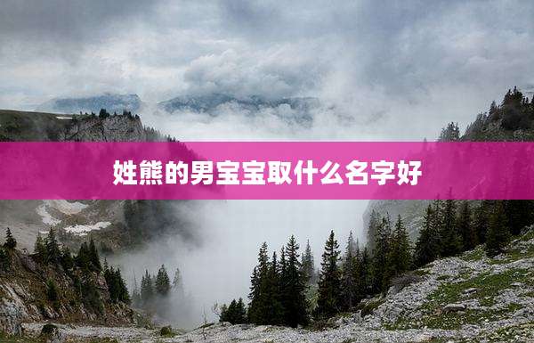 姓熊的男宝宝取什么名字好