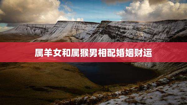 属羊女和属猴男相配婚姻财运