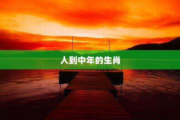 人到中年的生肖