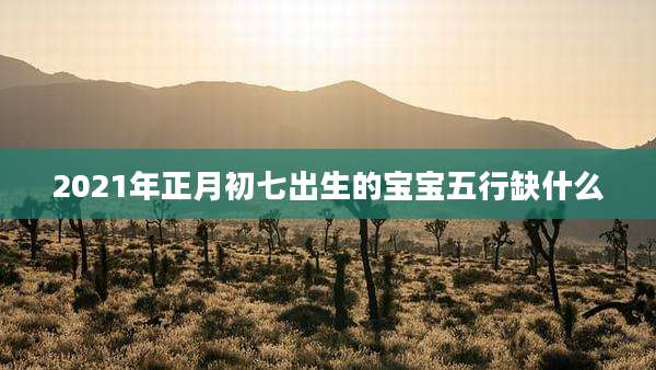 2021年正月初七出生的宝宝五行缺什么
