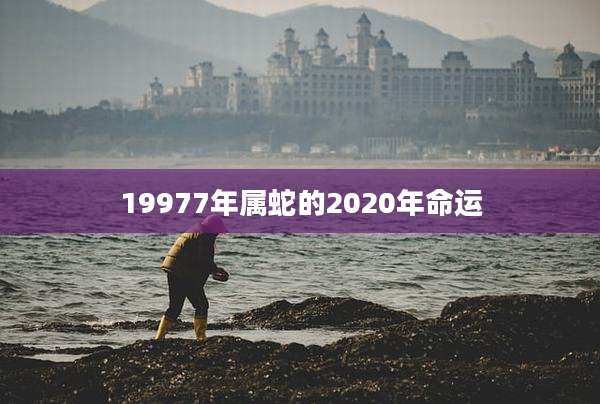 19977年属蛇的2020年命运