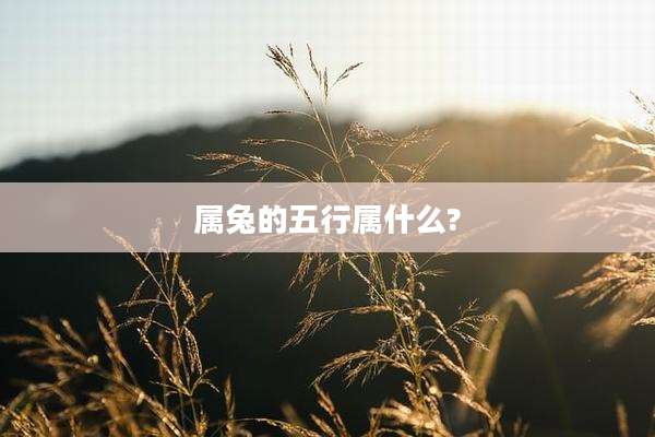 属兔的五行属什么?