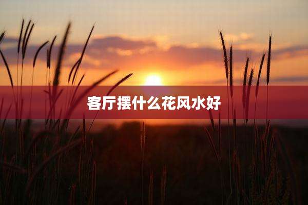 客厅摆什么花风水好
