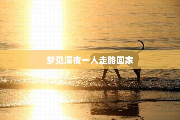 梦见深夜一人走路回家