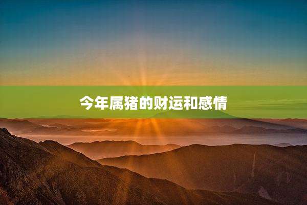今年属猪的财运和感情