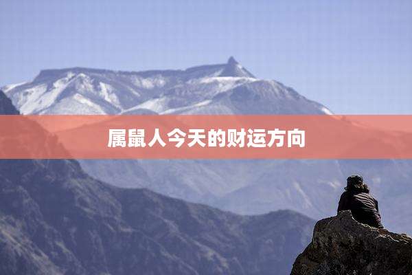 属鼠人今天的财运方向