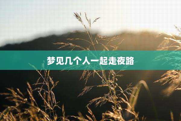梦见几个人一起走夜路