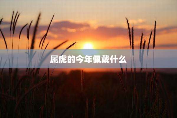 属虎的今年佩戴什么