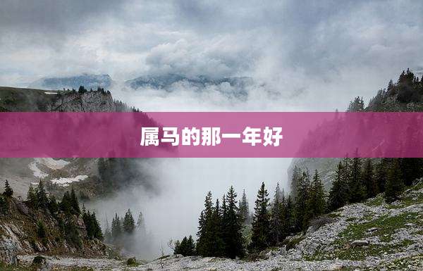 属马的那一年好