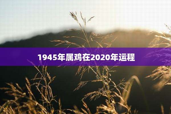 1945年属鸡在2020年运程