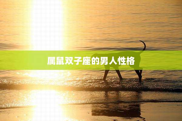 属鼠双子座的男人性格