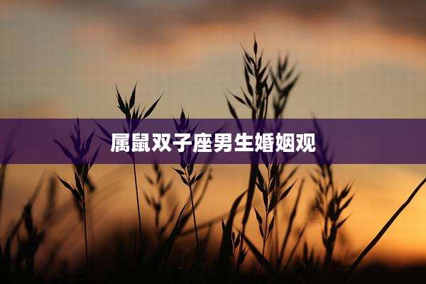 属鼠双子座男生婚姻观