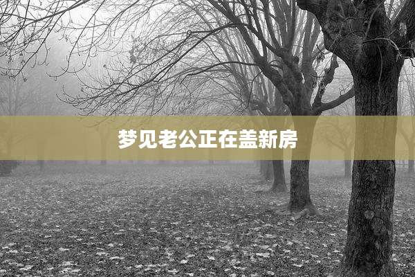 梦见老公正在盖新房