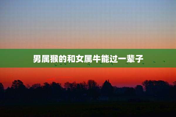 男属猴的和女属牛能过一辈子