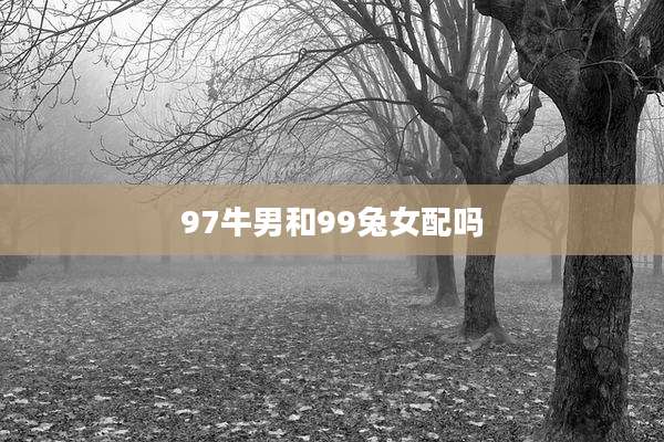 97牛男和99兔女配吗