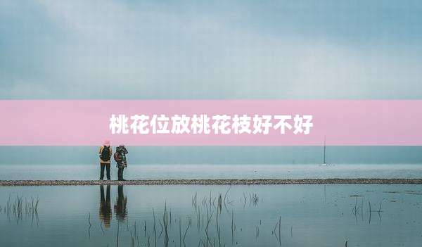 桃花位放桃花枝好不好