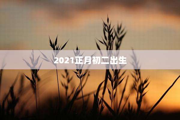 2021正月初二出生