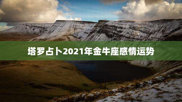 塔罗占卜2021年金牛座感情运势