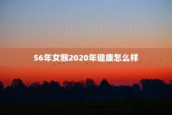 56年女猴2020年健康怎么样