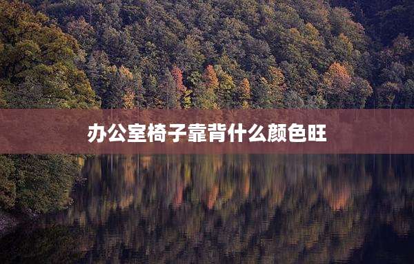 办公室椅子靠背什么颜色旺