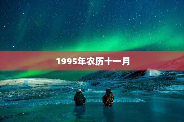 1995年农历十一月