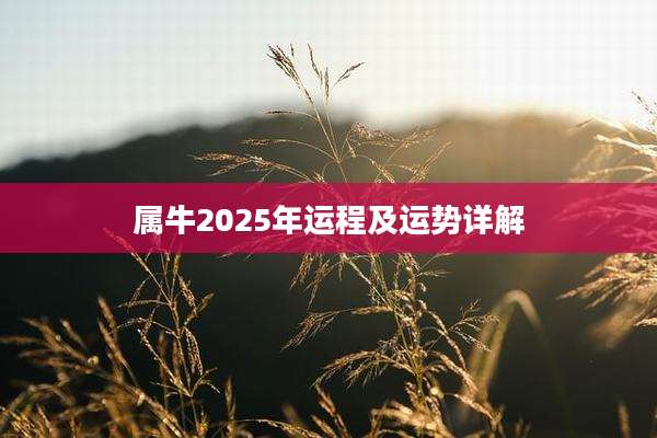 属牛2025年运程及运势详解
