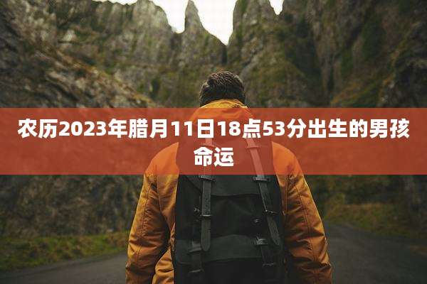 农历2023年腊月11日18点53分出生的男孩命运